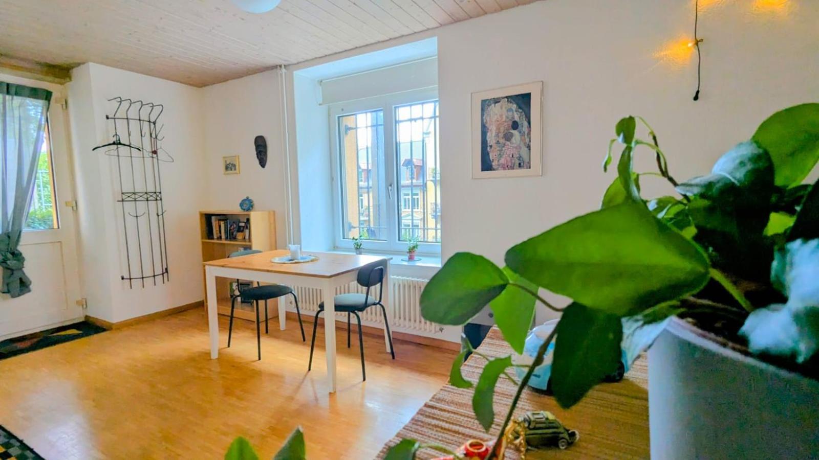 Urban Retreat - Cozy Studio With Private Patio Daire Zürih Dış mekan fotoğraf
